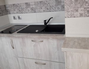 Appartement 2 chambres à louer dans Cluj-napoca, zone Intre Lacuri