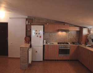 Appartement 2 chambres à louer dans Cluj-napoca, zone Buna Ziua
