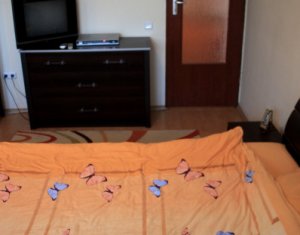 Appartement 2 chambres à louer dans Cluj-napoca, zone Buna Ziua