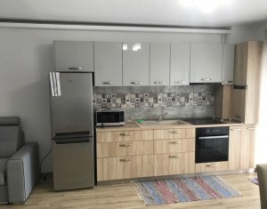 Appartement 2 chambres à louer dans Cluj-napoca, zone Intre Lacuri