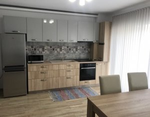 Appartement 2 chambres à louer dans Cluj-napoca, zone Intre Lacuri