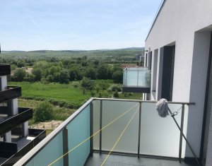 Appartement 2 chambres à louer dans Cluj-napoca, zone Intre Lacuri