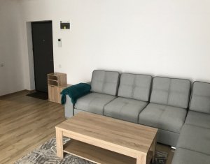 Appartement 2 chambres à louer dans Cluj-napoca, zone Intre Lacuri