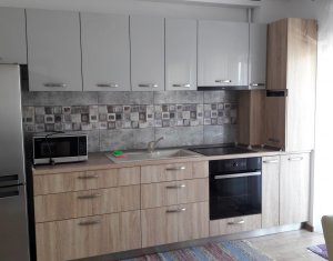 Appartement 2 chambres à louer dans Cluj-napoca, zone Intre Lacuri
