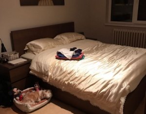 Lakás 3 szobák kiadó on Cluj-napoca, Zóna Gheorgheni