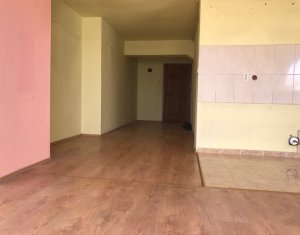 Lakás 4 szobák kiadó on Cluj-napoca, Zóna Centru
