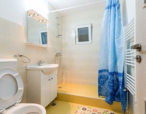 Appartement 2 chambres à louer dans Cluj-napoca, zone Intre Lacuri