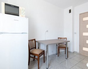 Appartement 2 chambres à louer dans Cluj-napoca, zone Intre Lacuri
