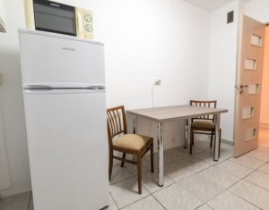 Appartement 2 chambres à louer dans Cluj-napoca, zone Intre Lacuri