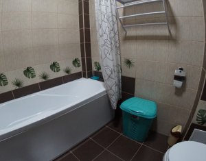 Appartement 1 chambres à louer dans Cluj-napoca, zone Borhanci