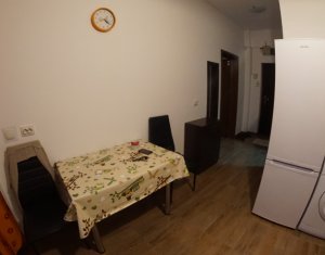 Appartement 1 chambres à louer dans Cluj-napoca, zone Borhanci
