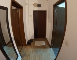Appartement 1 chambres à louer dans Cluj-napoca, zone Borhanci