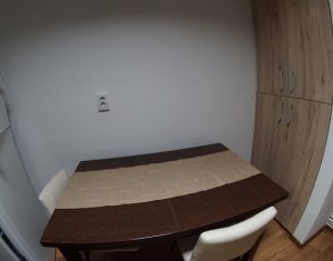 Appartement 2 chambres à louer dans Cluj-napoca, zone Manastur