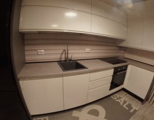 Appartement 2 chambres à louer dans Cluj-napoca, zone Europa