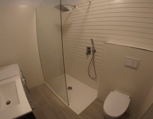 Appartement 2 chambres à louer dans Cluj-napoca, zone Europa