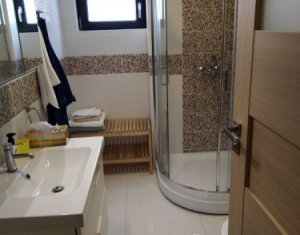 Appartement 2 chambres à louer dans Cluj-napoca, zone Buna Ziua