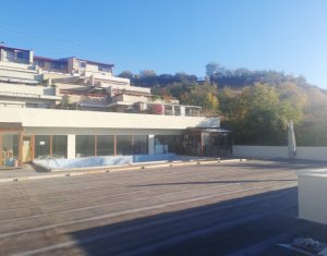 Appartement 2 chambres à louer dans Cluj-napoca, zone Grigorescu
