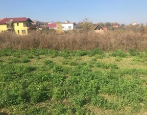 , 920m2 dans Cluj-napoca, zone Borhanci