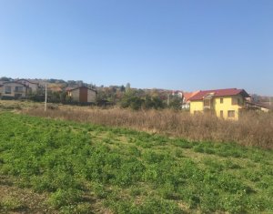Terrain à vendre dans Cluj-napoca, zone Borhanci