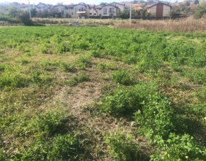 Terrain à vendre dans Cluj-napoca, zone Borhanci