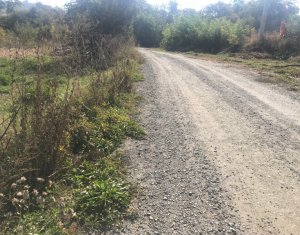Terrain à vendre dans Cluj-napoca, zone Borhanci