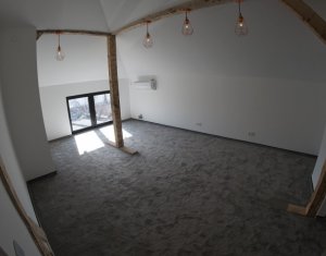 Maison 5 chambres à louer dans Cluj-napoca, zone Intre Lacuri