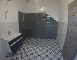 Maison 5 chambres à louer dans Cluj-napoca, zone Intre Lacuri