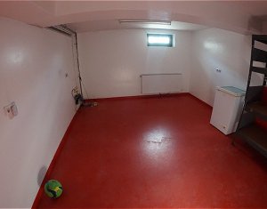 Maison 5 chambres à louer dans Cluj-napoca, zone Intre Lacuri