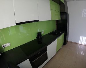 Maison 5 chambres à louer dans Cluj-napoca, zone Intre Lacuri