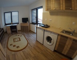 Appartement 1 chambres à louer dans Cluj-napoca