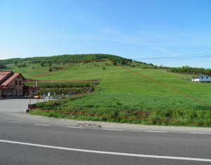 Terrain à vendre dans Mera