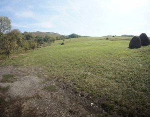 , 1650m2 dans Cluj-napoca, zone Sopor