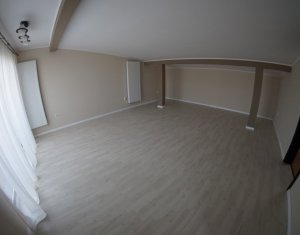 Maison 4 chambres à louer dans Cluj-napoca, zone Borhanci