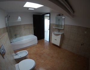Maison 4 chambres à louer dans Cluj-napoca, zone Borhanci