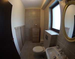 Maison 4 chambres à louer dans Cluj-napoca, zone Borhanci