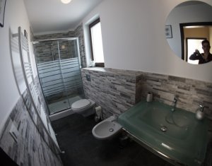 Maison 4 chambres à louer dans Cluj-napoca, zone Borhanci