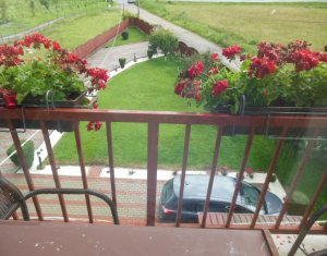 Maison 5 chambres à vendre dans Gilau