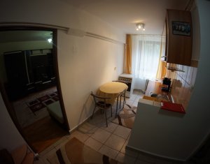 Appartement 1 chambres à louer dans Cluj-napoca, zone Grigorescu