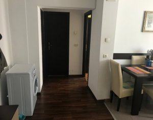 Appartement 2 chambres à louer dans Cluj-napoca, zone Grigorescu
