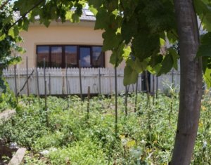 Ház 4 szobák kiadó on Cluj-napoca, Zóna Gheorgheni