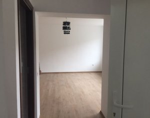 Maison 3 chambres à louer dans Cluj-napoca, zone Intre Lacuri