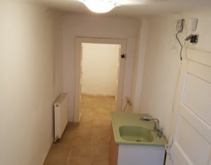 Maison 4 chambres à louer dans Cluj-napoca, zone Andrei Muresanu