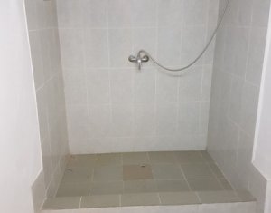Maison 4 chambres à louer dans Cluj-napoca, zone Andrei Muresanu