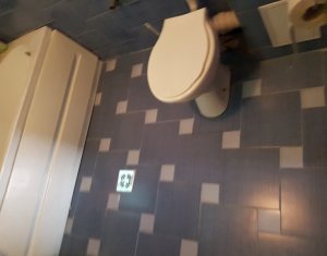 Maison 4 chambres à louer dans Cluj-napoca, zone Andrei Muresanu