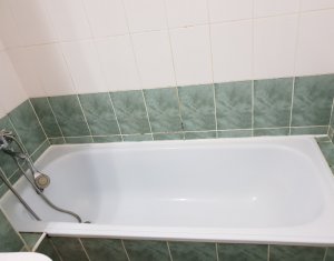 Appartement 1 chambres à louer dans Cluj-napoca, zone Zorilor