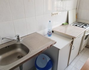 Appartement 1 chambres à louer dans Cluj-napoca, zone Gruia