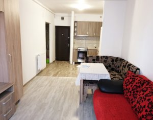 Appartement 2 chambres à louer dans Cluj-napoca, zone Iris