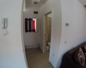 Appartement 2 chambres à louer dans Cluj-napoca, zone Gruia