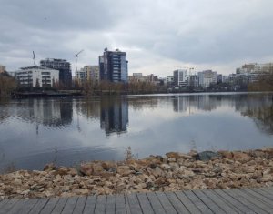 Appartement 1 chambres à louer dans Cluj-napoca, zone Intre Lacuri