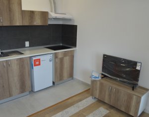 Appartement 1 chambres à louer dans Cluj-napoca, zone Centru
